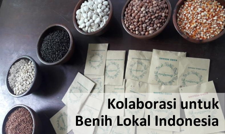 Mari Kolaborasi (1)