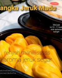 Nangka Jeruk Madu Jumbo