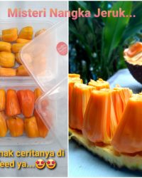 Nangka Jeruk Super Istimewa