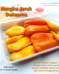 Nangka Jeruk Dwiwarna